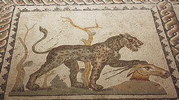 Leopard Mosaic, Tarentum