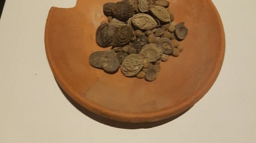 Roman Plate with Fruit Seeds