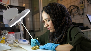 Curator with Pair of Gold Earrings from Ur III