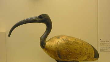 Ibis Coffin from Ancient Egypt