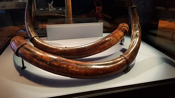 Woolly Mammoth Tusks