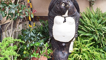 Japanese Tanuki