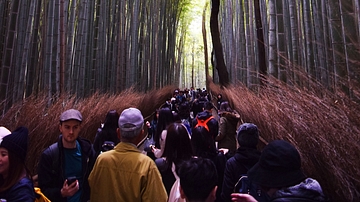 Arashiyama Bamboo Forest in Japan