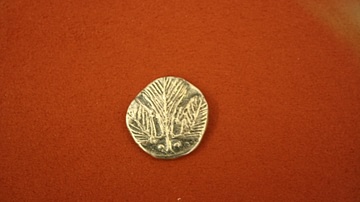 Selinus Silver Didrachm