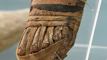 Mummified Left Foot of a Child