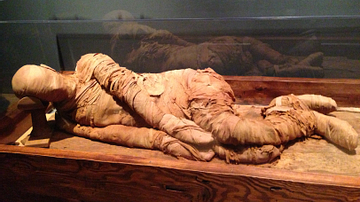 Egyptian Mummy