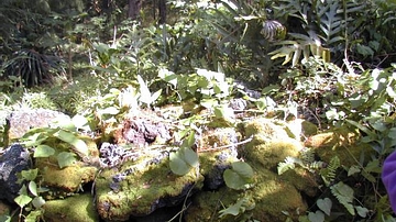 Kukii Heiau Wall, Hawaii