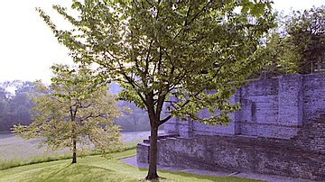 Basilica at Augusta Raurica