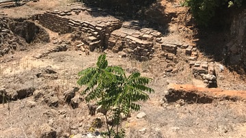 Lion Temple of Jaffa