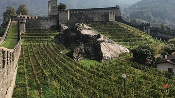 View of Castelgrande's Vineyard in Bellinzona