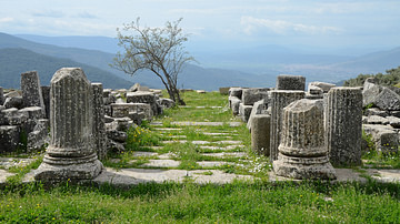 The Sanctuary of Zeus Labraundos