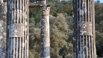 Columns of the Temple of Zeus Lepsynos, Euromos