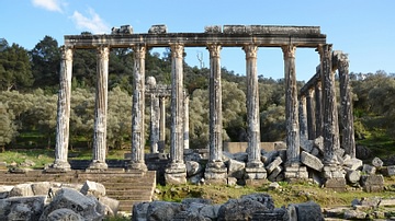 Temple of Zeus Lepsynos at Euromos