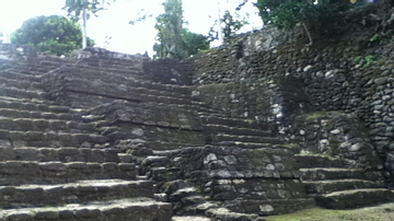 Stairs of the Gran Basamento at Chacchoben