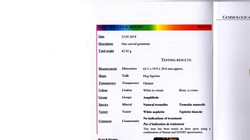 GCS Lab Report - Correya Dog