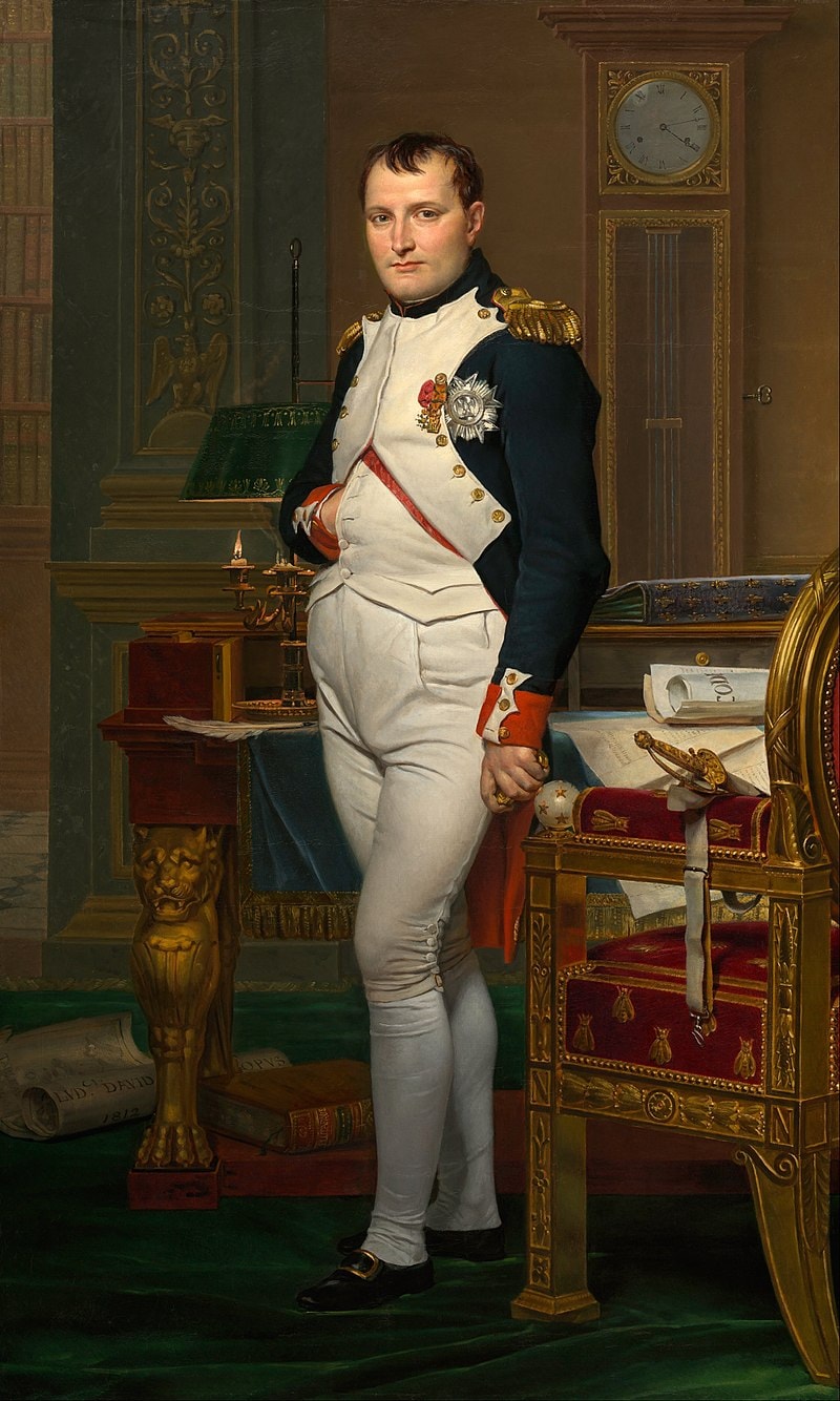 Napoleon Bonaparte - World History Encyclopedia