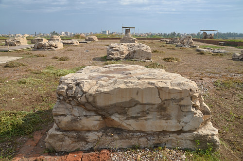 The Apadana of the Palace of Darius in Susa