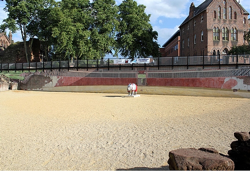 Chester's Roman Amphitheatre