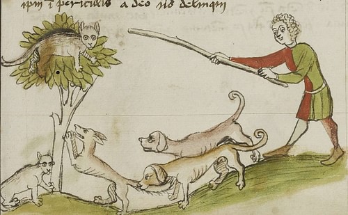 Medieval Drawing of a Cat in a Tree