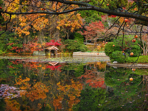 Pond Garden, Ryoanji