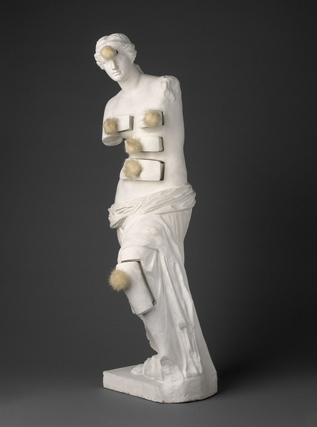 Venus with Drawers