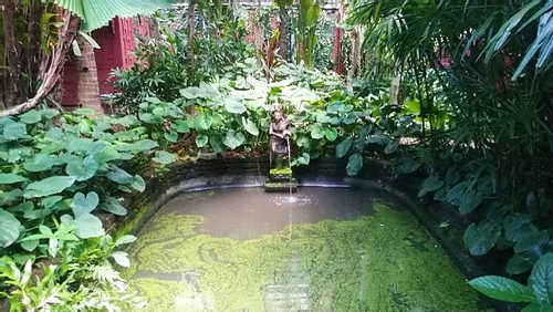 Old Statue & Koi pond at the Jim Thompson House Museum