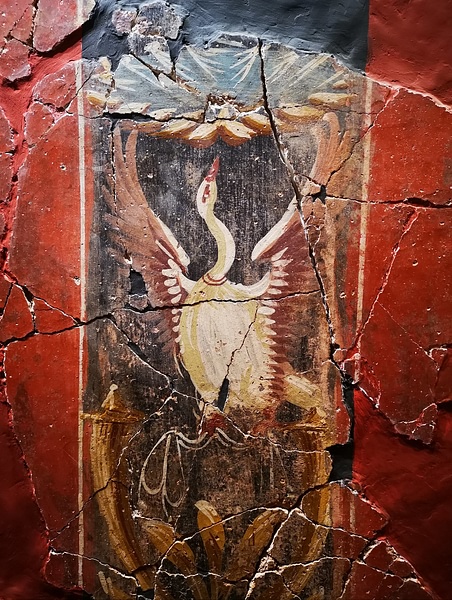 Wall Painting of a Swan in the House of Fortune, Carthago Nova