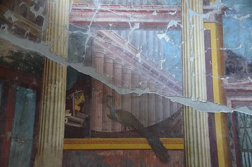 Fresco with Theatre Mask and Peacock, Oplontis Villa Poppaea