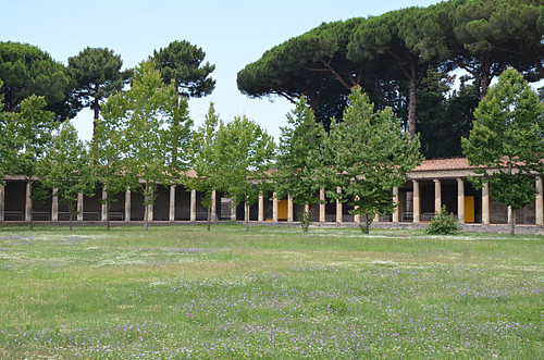 The Large Palaestra of Pompeii
