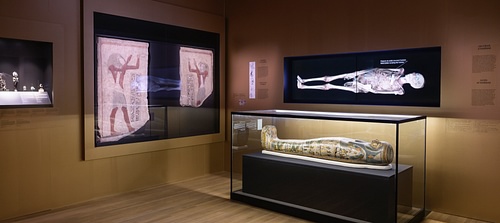 Egyptian Mummies: Exploring Ancient Lives
