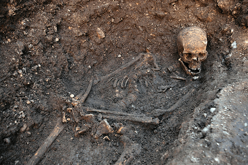 Skeleton of Richard III of England