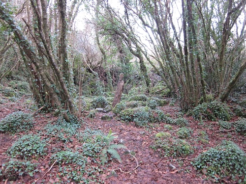 Celtic Art in Woods by Ailwee Caves, County Clare, Ireland