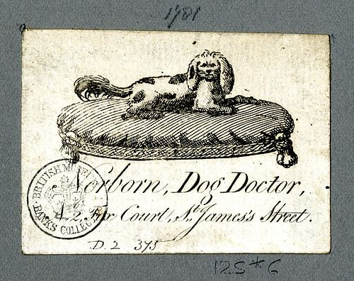 Trade Card of a Veterinary Surgeon
