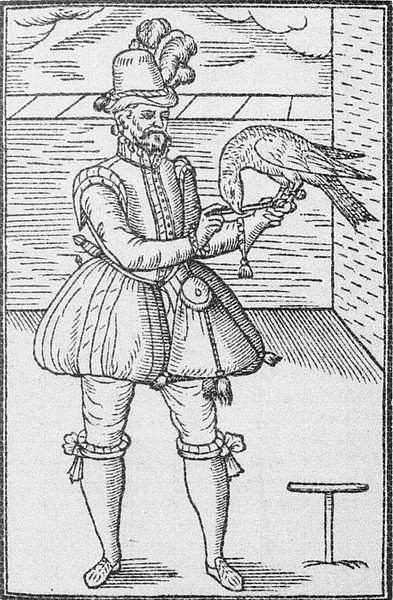 Elizabethan Falconer