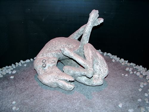 Dog, Pompeii