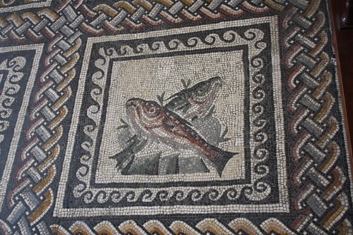 Fish, Roman Mosaic