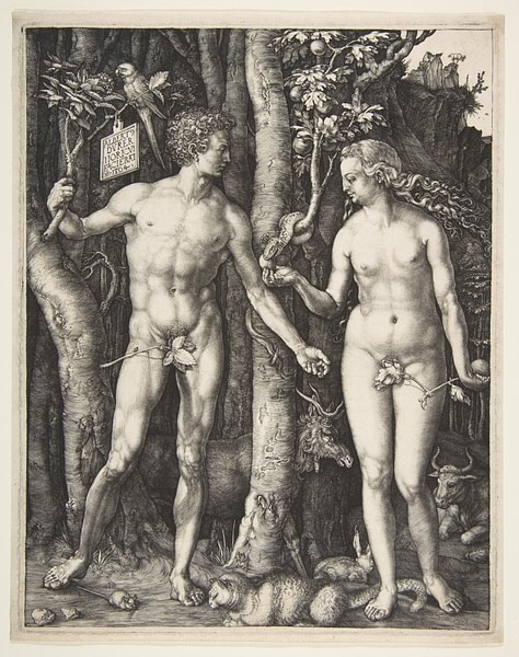 Adam & Eve Engraving by Dürer