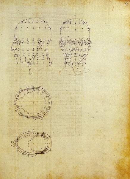 Drawing Showing Mathematical Perspective Applied to the Human Head by Piero della Francesca