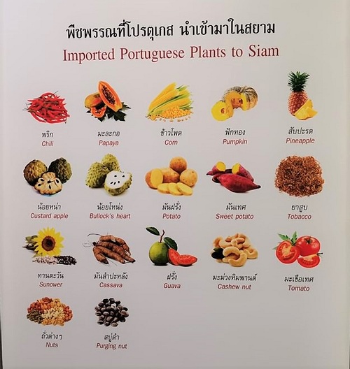 Foods and Plants Introduced to Thailand by the Portuguese
