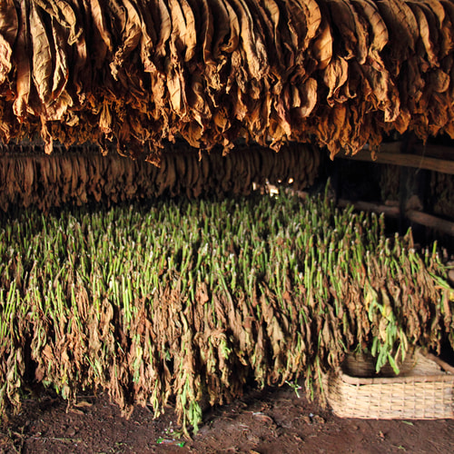 apply for tobacco license in georgia Digital IDs now allowed for alcohol, tobacco purchases in Georgia apply for tobacco license in georgia Digital IDs now allowed for alcohol, tobacco purchases in Georgia