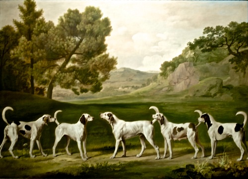 Five of Lord Rockingham's Hounds in a Landscape