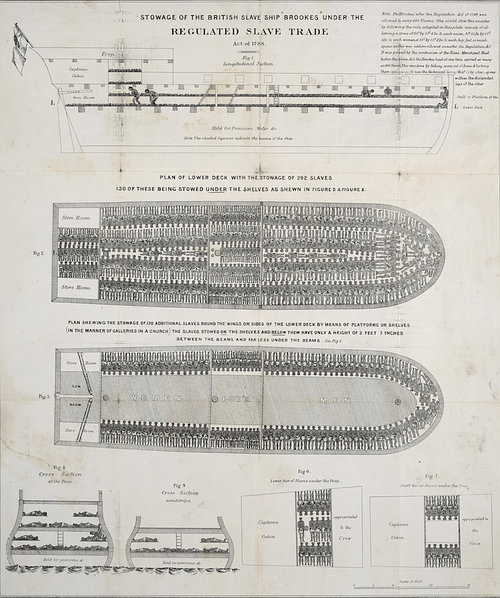 Diagram of the Stowage of Slaves on a Slave Ship