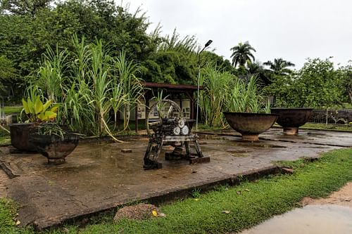 Early Modern Sugar Processing Equipment