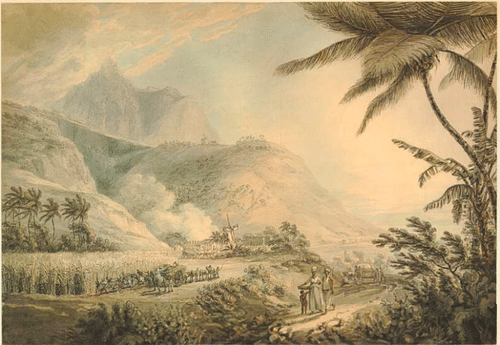 Slaves on an Antiguan Sugar Plantation