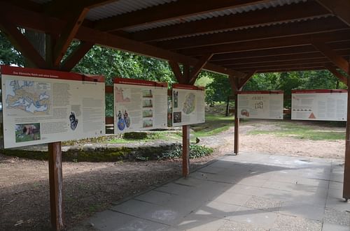 Limes Information Boards