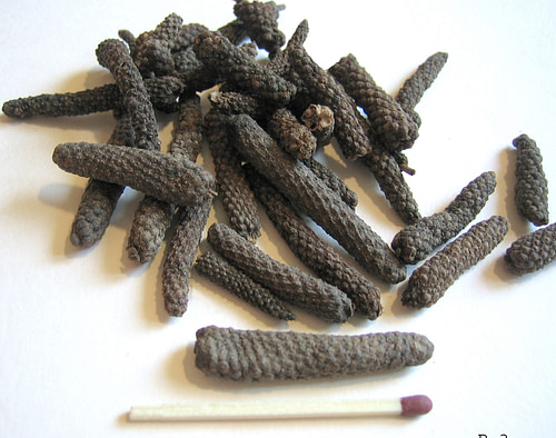 Long Pepper