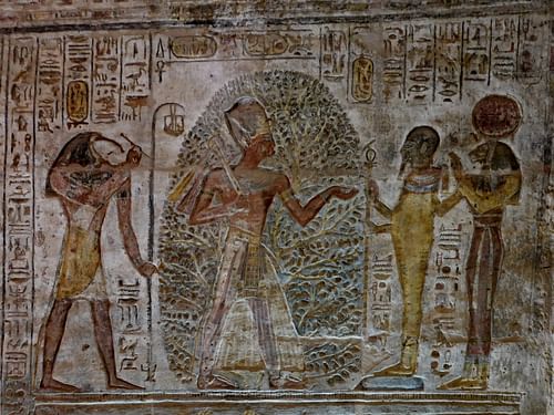 Ramesses II in the Tree of Life