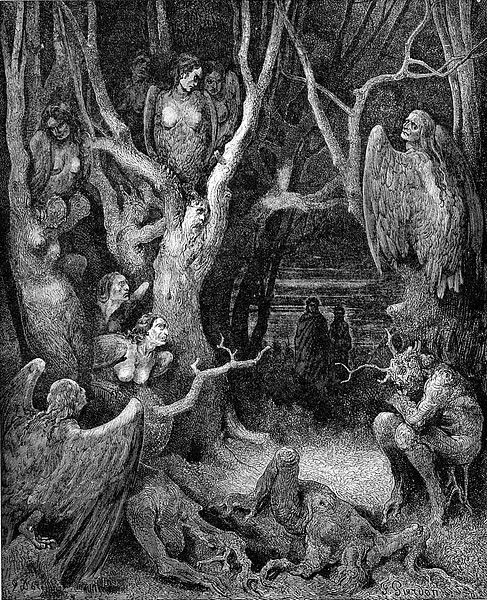 Harpies in the Infernal Wood