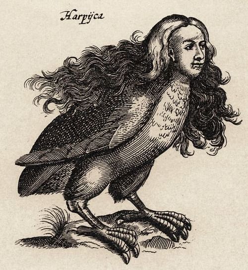 Harpy