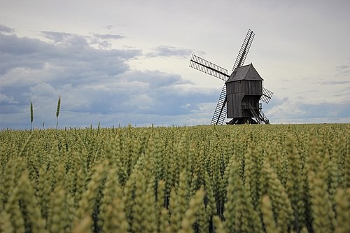 Windmill at Valmy